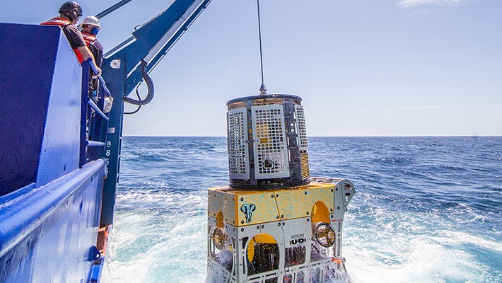 rov schilling 11 uhdiii retrieval 710x400