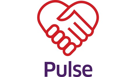 our values pulse v2